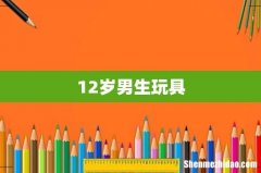 12岁男生玩具