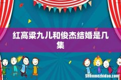 红高粱九儿和俊杰结婚是几集