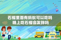 石榴里面有蚂蚁可以吃吗 晚上吃石榴会发胖吗