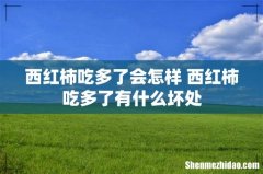 西红柿吃多了会怎样 西红柿吃多了有什么坏处