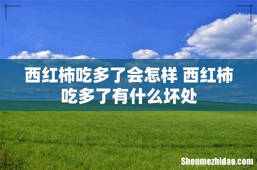 西红柿吃多了会怎样 西红柿吃多了有什么坏处