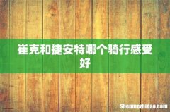 崔克和捷安特哪个骑行感受好