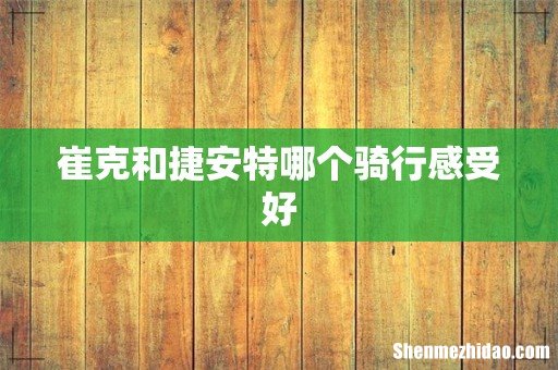 崔克和捷安特哪个骑行感受好