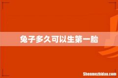 兔子多久可以生第一胎