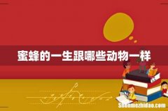蜜蜂的一生跟哪些动物一样