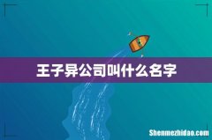 王子异公司叫什么名字