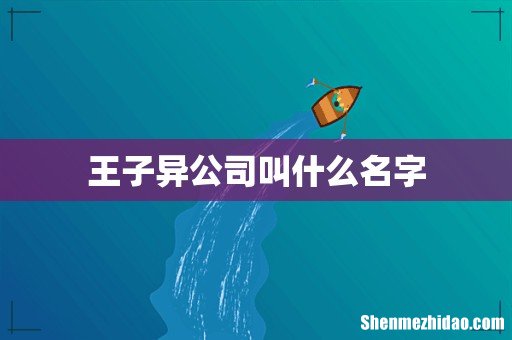 王子异公司叫什么名字