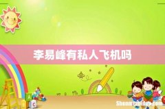李易峰有私人飞机吗
