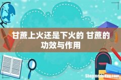 甘蔗上火还是下火的 甘蔗的功效与作用