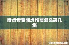 陆贞传奇陆贞推高湛头第几集