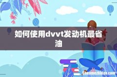 如何使用dvvt发动机最省油