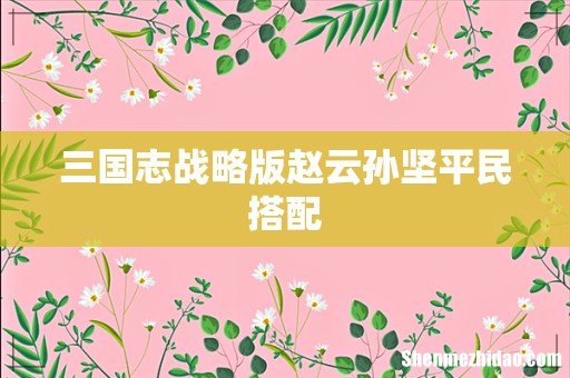 三国志战略版赵云孙坚平民搭配