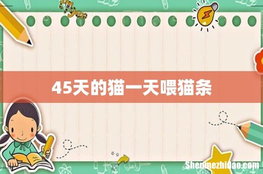 45天的猫一天喂猫条