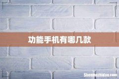 功能手机有哪几款