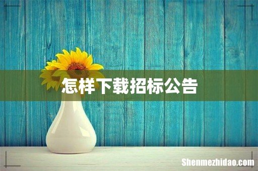 怎样下载招标公告