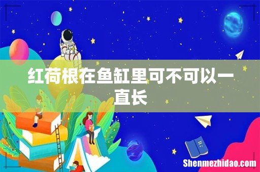 红荷根在鱼缸里可不可以一直长