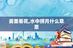雾里看花,水中捞月什么意思