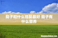 茄子和什么搭配最好 茄子有什么营养