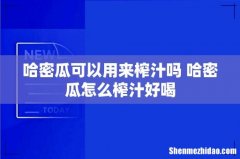哈密瓜可以用来榨汁吗 哈密瓜怎么榨汁好喝