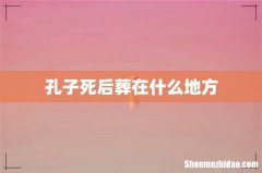 孔子死后葬在什么地方