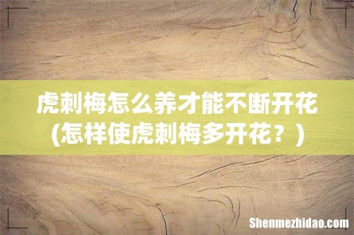 怎样使虎刺梅多开花? 虎刺梅怎么养才能不断开花
