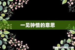 一见钟情的意思
