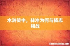 水浒传中，林冲为何与杨志相战