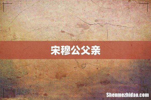 宋穆公父亲