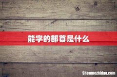 能字的部首是什么