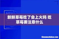 新鲜草莓吃了会上火吗 吃草莓要注意什么