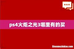 ps4火炬之光3哪里有的买