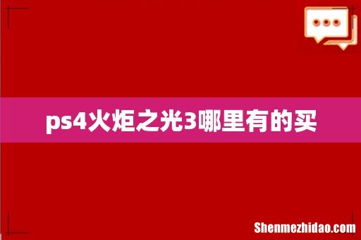 ps4火炬之光3哪里有的买