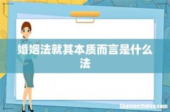 婚姻法就其本质而言是什么法