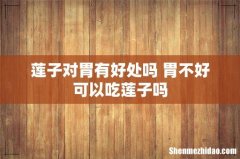 莲子对胃有好处吗 胃不好可以吃莲子吗