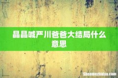 晶晶喊严川爸爸大结局什么意思