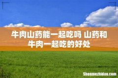 牛肉山药能一起吃吗 山药和牛肉一起吃的好处