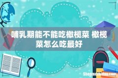 哺乳期能不能吃橄榄菜 橄榄菜怎么吃最好