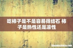 吃柿子是不是容易得结石 柿子是热性还是凉性