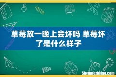 草莓放一晚上会坏吗 草莓坏了是什么样子