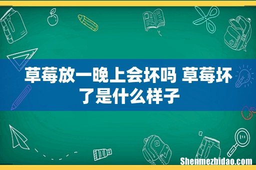 草莓放一晚上会坏吗 草莓坏了是什么样子