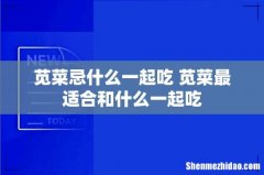 苋菜忌什么一起吃 苋菜最适合和什么一起吃