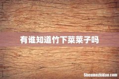 有谁知道竹下菜莱子吗
