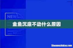金鱼沉底不动什么原因