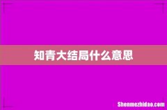 知青大结局什么意思