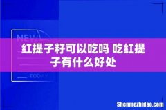 红提子籽可以吃吗 吃红提子有什么好处