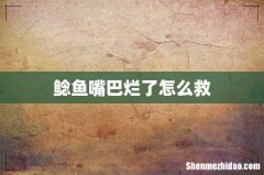 鲶鱼嘴巴烂了怎么救