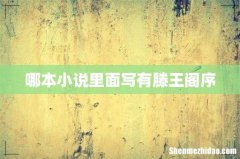 哪本小说里面写有滕王阁序