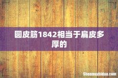 圆皮筋1842相当于扁皮多厚的