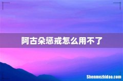 阿古朵惩戒怎么用不了