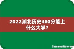 2022湖北历史460分能上什么大学？